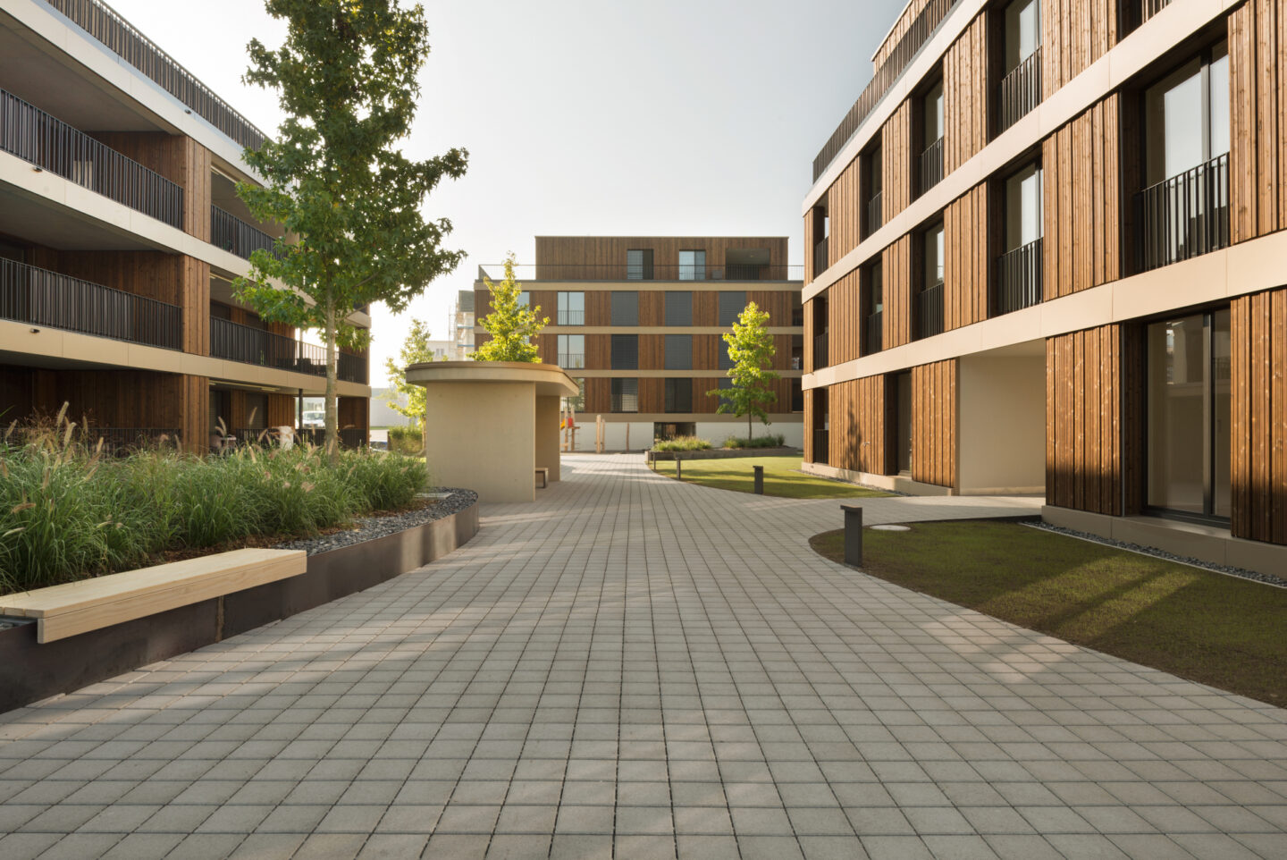  Überbauung Trisa Triengen