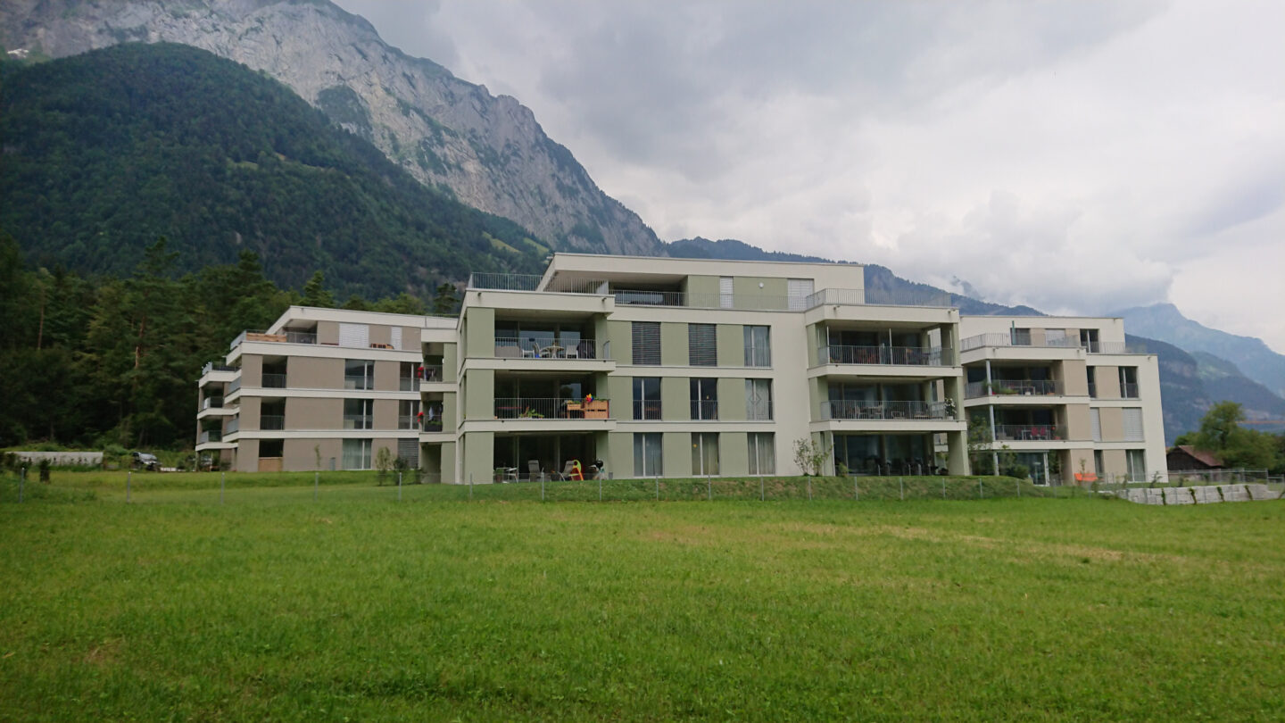  Wohnüberbauung Palanggenmatt Seedorf